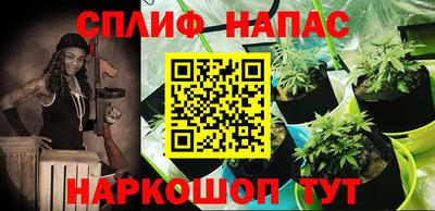 индика Конаково