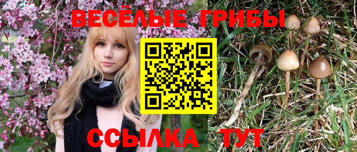 наркота  Вход с VPN  Туапсе  Галлюциногенные грибы мицелий 